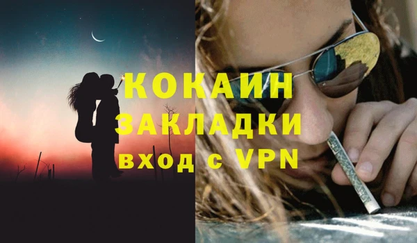 ГАЛЛЮЦИНОГЕННЫЕ ГРИБЫ Арсеньев