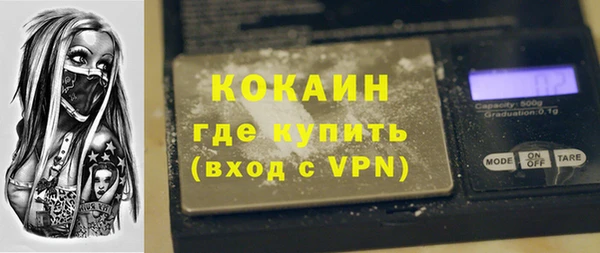 ГАЛЛЮЦИНОГЕННЫЕ ГРИБЫ Арсеньев